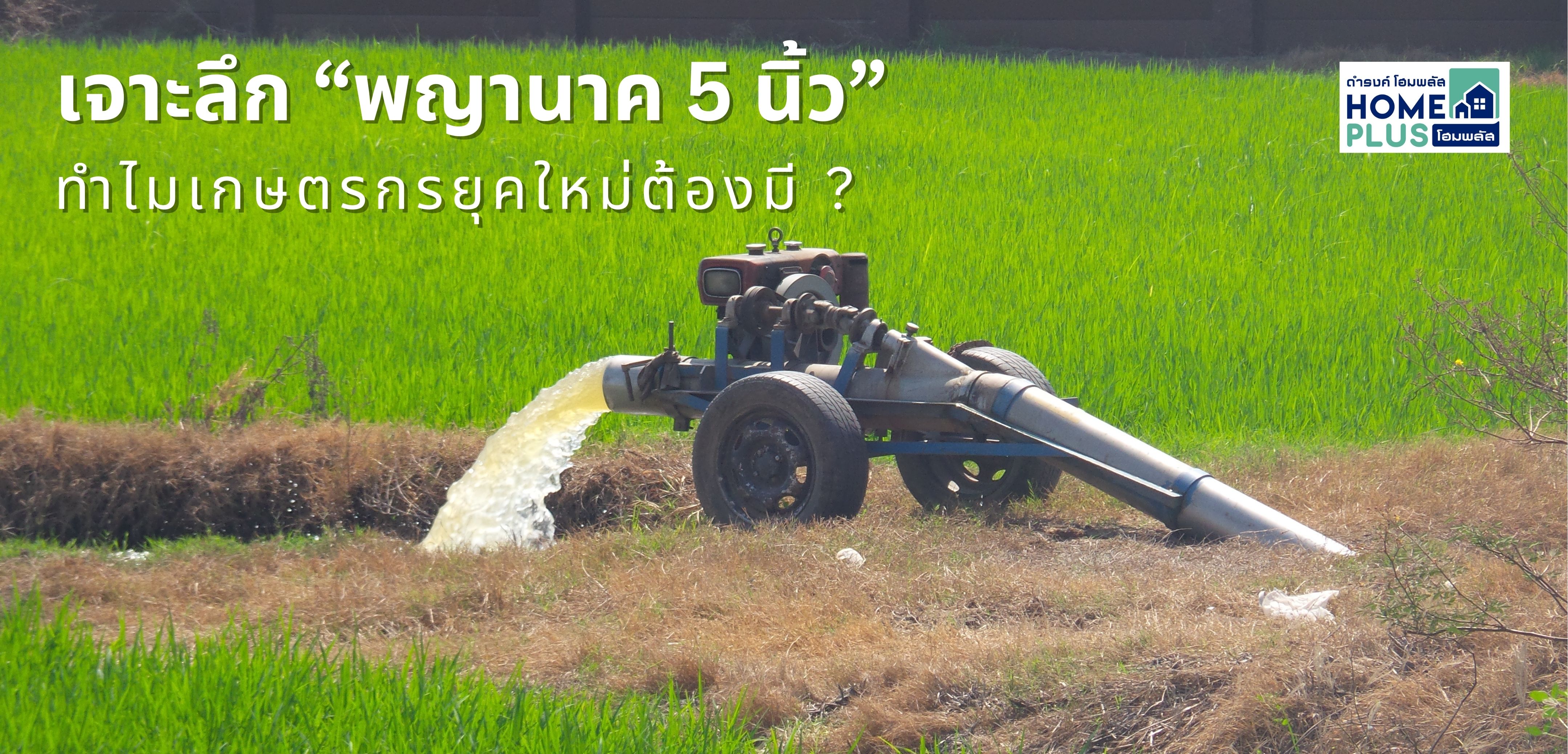 เจาะลึก “พญานาค 5 นิ้ว” – อาวุธลับของเกษตรกรยุคใหม่ ที่ขาดไม่ได้! - ดำรงค์โฮมพลัส